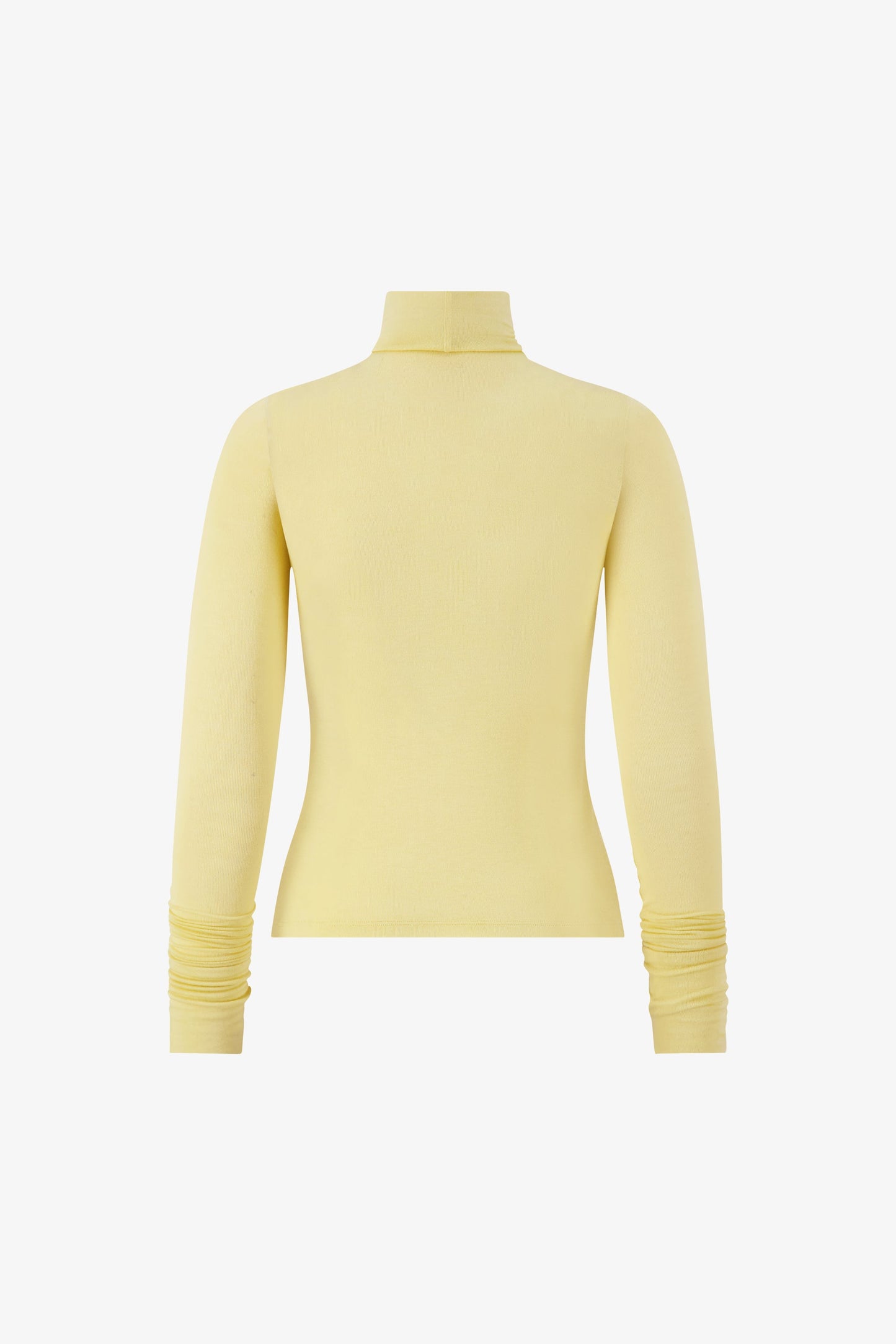 Eloise Sheer Turtleneck