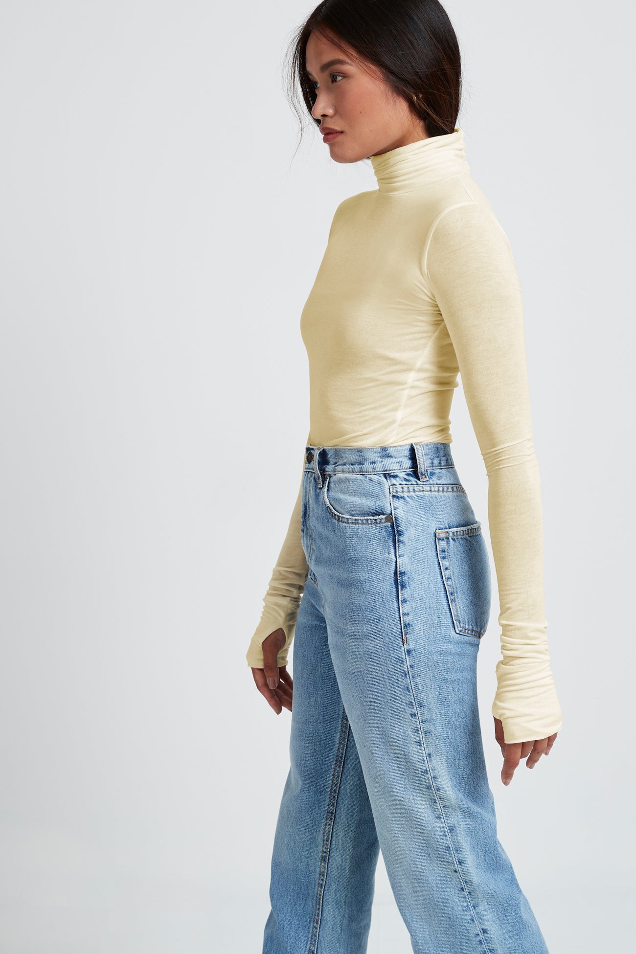 Eloise Sheer Turtleneck