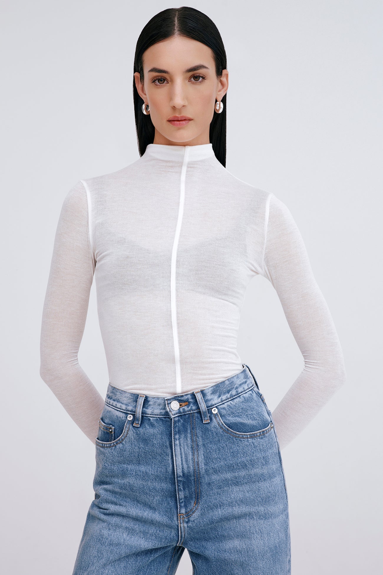 Alicia Sheer Turtleneck